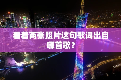看着两张照片这句歌词出自哪首歌？