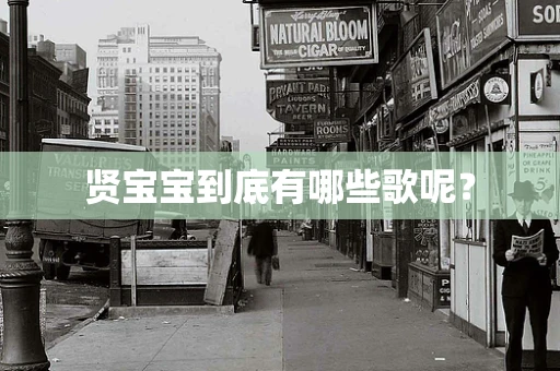 贤宝宝到底有哪些歌呢？