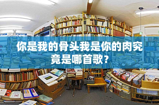你是我的骨头我是你的肉究竟是哪首歌？