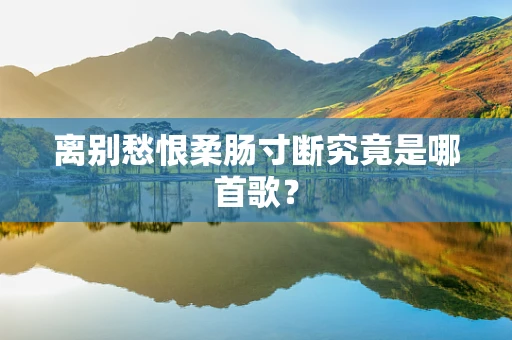 离别愁恨柔肠寸断究竟是哪首歌？