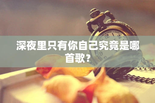 深夜里只有你自己究竟是哪首歌？