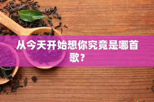 从今天开始想你究竟是哪首歌？