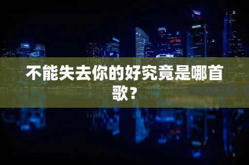 不能失去你的好究竟是哪首歌？