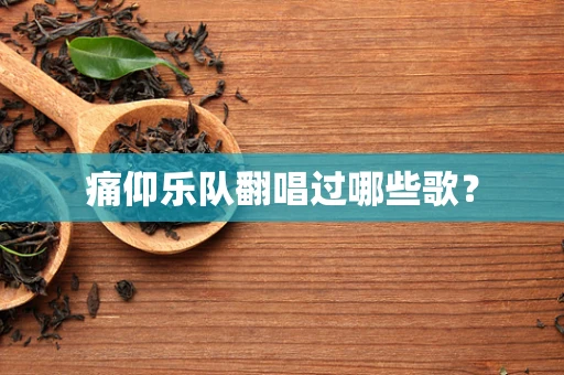 痛仰乐队翻唱过哪些歌？