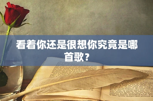 看着你还是很想你究竟是哪首歌？