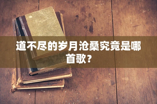 道不尽的岁月沧桑究竟是哪首歌？