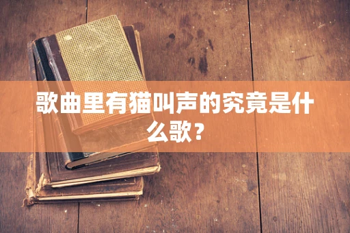 歌曲里有猫叫声的究竟是什么歌？