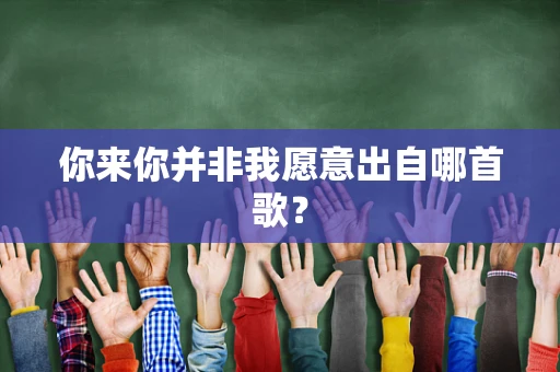 你来你并非我愿意出自哪首歌？