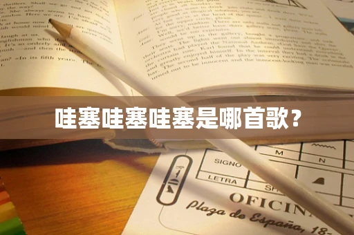 哇塞哇塞哇塞是哪首歌？