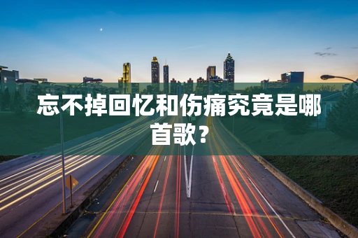 忘不掉回忆和伤痛究竟是哪首歌？