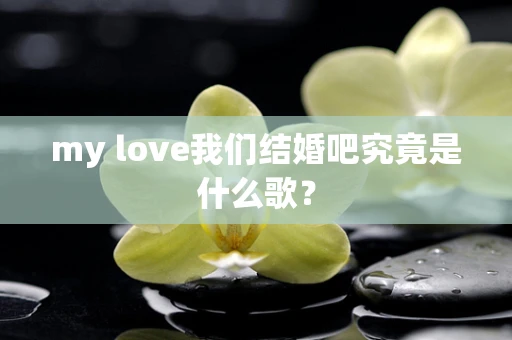 my love我们结婚吧究竟是什么歌？