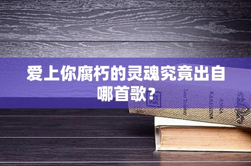 爱上你腐朽的灵魂究竟出自哪首歌？
