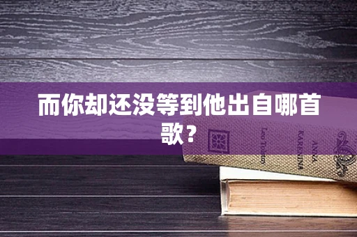 而你却还没等到他出自哪首歌？