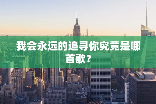 我会永远的追寻你究竟是哪首歌？