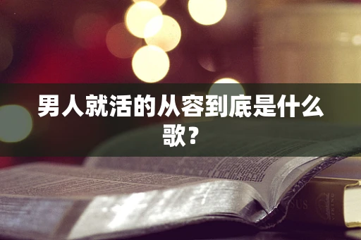 男人就活的从容到底是什么歌？