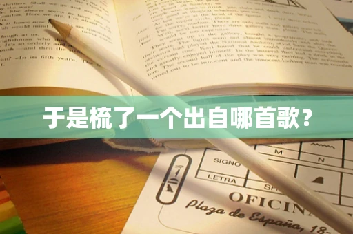 于是梳了一个出自哪首歌？