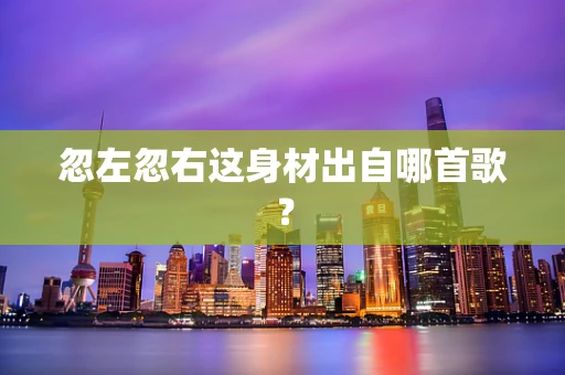 忽左忽右这身材出自哪首歌？