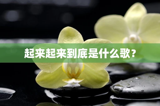 起来起来到底是什么歌？
