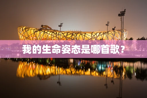 我的生命姿态是哪首歌？