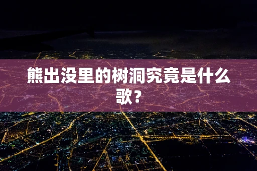 熊出没里的树洞究竟是什么歌？