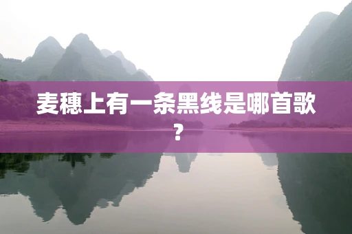 麦穗上有一条黑线是哪首歌？