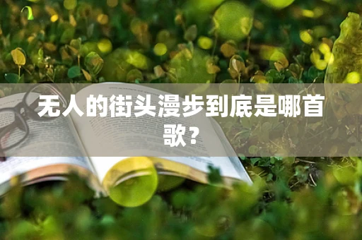 无人的街头漫步到底是哪首歌？