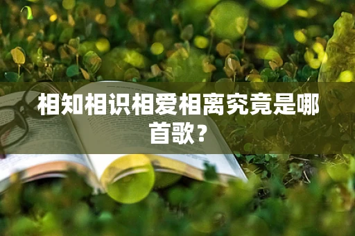 相知相识相爱相离究竟是哪首歌？