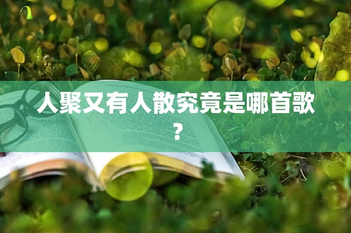 人聚又有人散究竟是哪首歌？