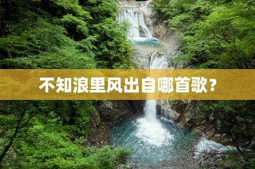 不知浪里风出自哪首歌？