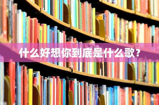 什么好想你到底是什么歌？