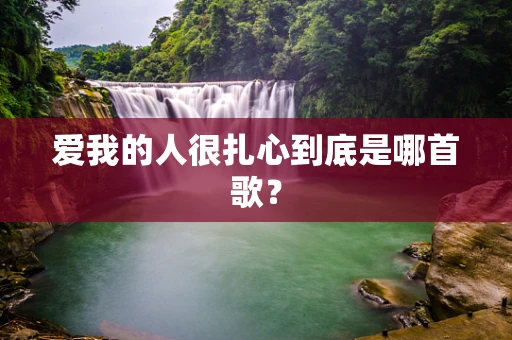 爱我的人很扎心到底是哪首歌？