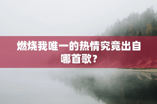 燃烧我唯一的热情究竟出自哪首歌？