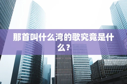 那首叫什么湾的歌究竟是什么？