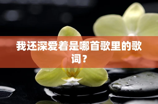 我还深爱着是哪首歌里的歌词？
