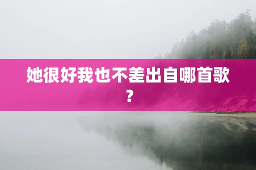 她很好我也不差出自哪首歌？