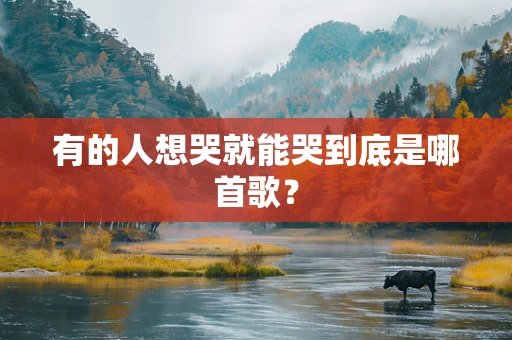 有的人想哭就能哭到底是哪首歌？