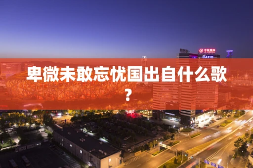 卑微未敢忘忧国出自什么歌？