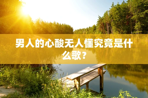 男人的心酸无人懂究竟是什么歌？