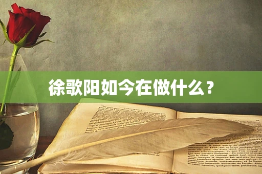 徐歌阳如今在做什么？