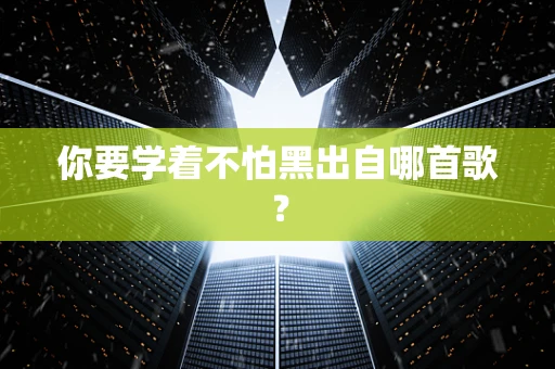 你要学着不怕黑出自哪首歌？