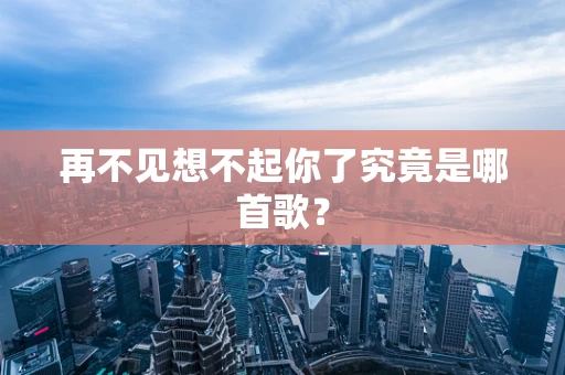 再不见想不起你了究竟是哪首歌？