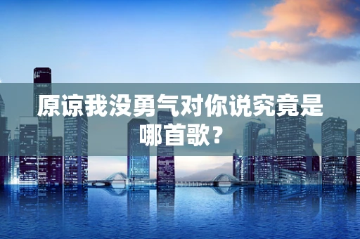 原谅我没勇气对你说究竟是哪首歌？