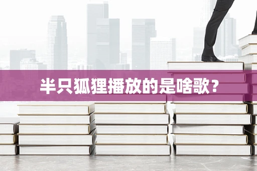 半只狐狸播放的是啥歌？