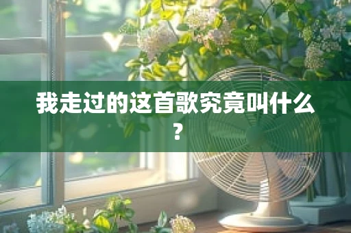 我走过的这首歌究竟叫什么？