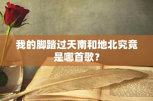 我的脚踏过天南和地北究竟是哪首歌？