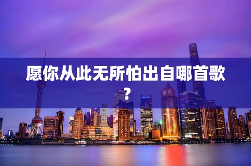 愿你从此无所怕出自哪首歌？