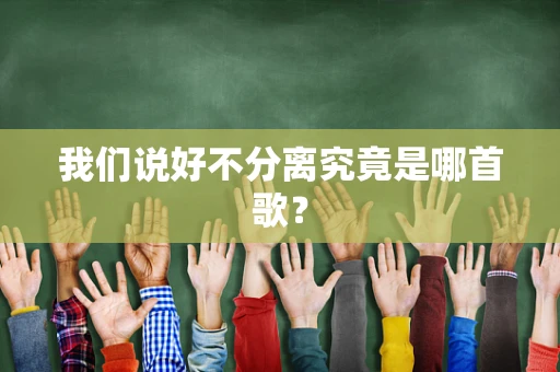 我们说好不分离究竟是哪首歌？