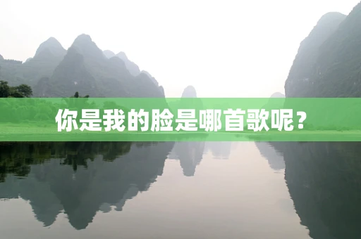 你是我的脸是哪首歌呢？