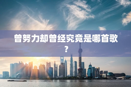 曾努力却曾经究竟是哪首歌？