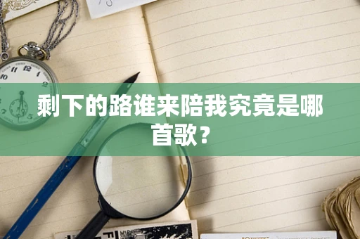 剩下的路谁来陪我究竟是哪首歌？